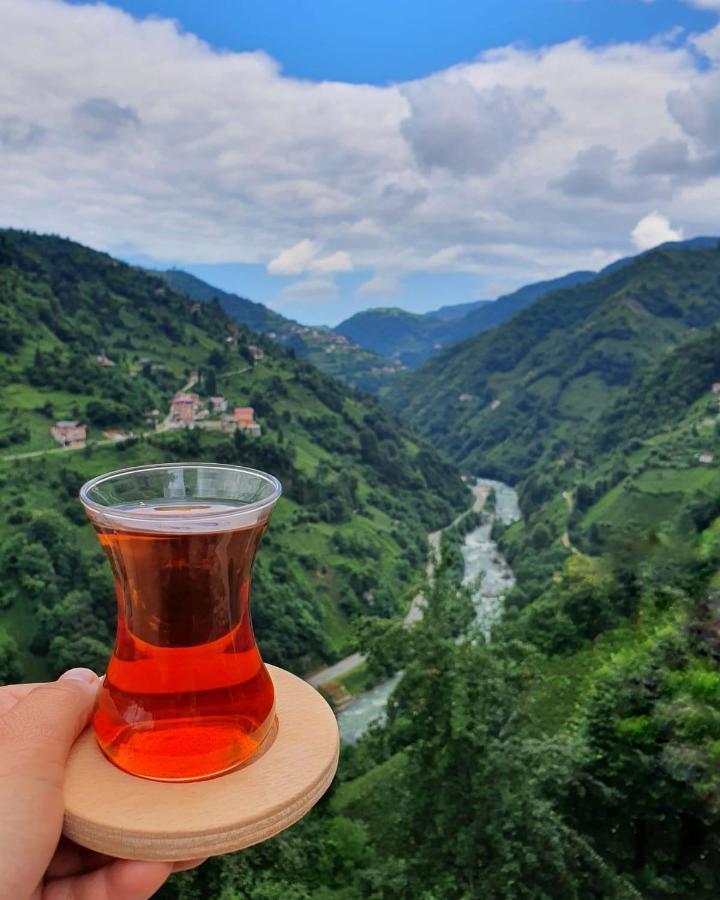 Puleri Suit Bungalow Çamlıhemşin Exterior foto